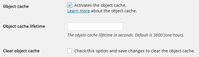 Object cache options